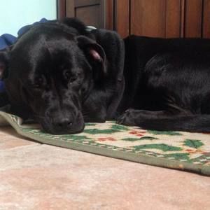 Meet your Posher, Evan